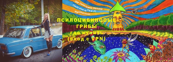 стафф Таштагол