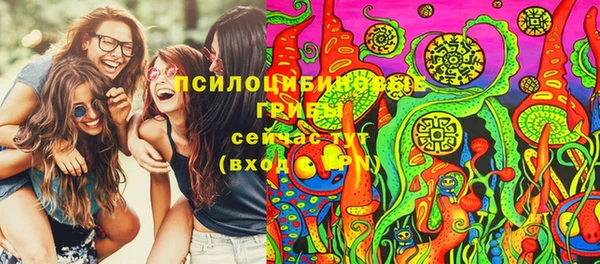 молекула духа Фурманов