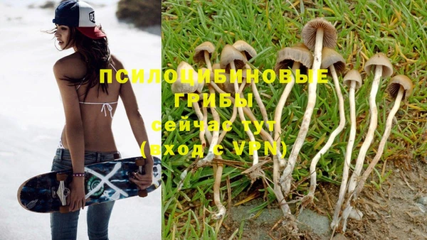 молекула духа Фурманов