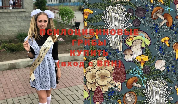 мдпв Татарск