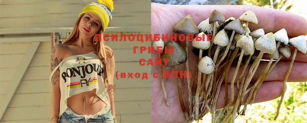 молекула духа Фурманов