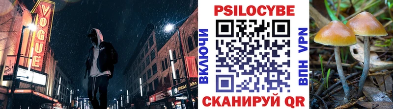 магазин    Ярцево  мега онион  Псилоцибиновые грибы мухоморы 