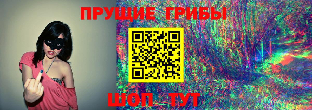 Псилоцибиновые грибы Psilocybe  Вход с VPN  Ярцево 